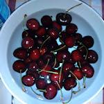 IMG_20120611_122249.jpg IMG_20120611_122249.jpg