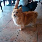 IMG_20120609_195243.jpg IMG_20120609_195243.jpg