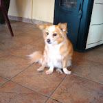 IMG_20120609_195226.jpg IMG_20120609_195226.jpg