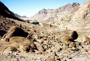 La questione del Sinai