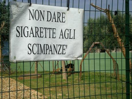 Zoo in Italia: quasi tutti fuorilegge