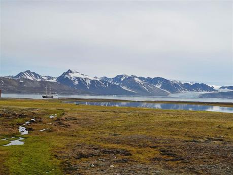 Diario di viaggio, crociera “Oltre Capo Nord”, Costa Pacifica, Costa Crociere (IV). Ny Alesund, Magdalenafjord e il fiordo di Lilliehook