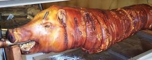 porchetta con testa di maiale La gratuità del far male agli altri, appena si presenta l’occasione