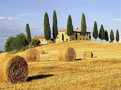 MERAVIGLIOSA TOSCANA - WONDERFUL TUSCANY