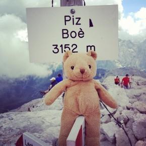 Piz Boè - Un orso in Trentino (2)