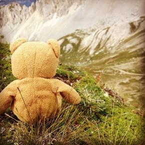 Passo delle Selle - Un orso in Trentino (2)