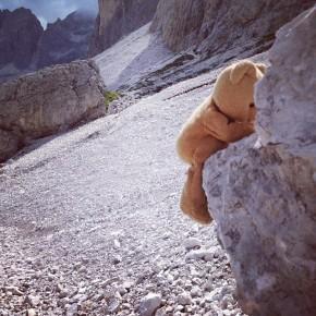 Vajolet - Un orso in Trentino (2)
