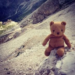Vajolet - Un orso in Trentino (6)