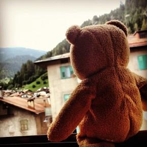 Predazzo - Un orso in Trentino (2)