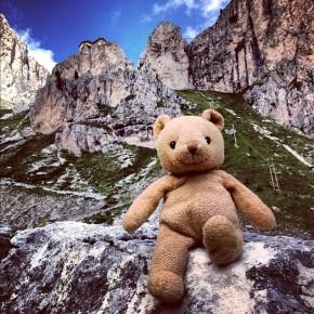 Vajolet - Un orso in Trentino (4)