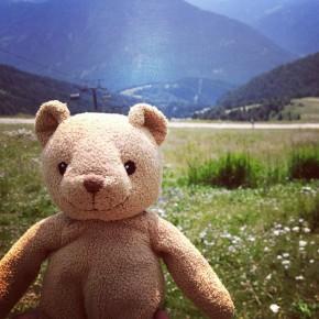 Latemar - Un orso in Trentino (4)