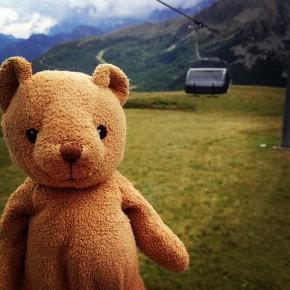 San Pellegrino - Un orso in Trentino (4)