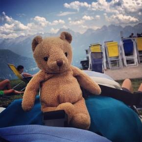 Latemar - Un orso in Trentino (2)