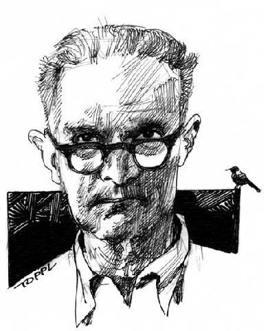 L'uomo del fumetto L'uomo del fumetto