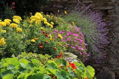 Crissolo “Comuni Fioriti” edizione 2012 Crissolo “Comuni Fioriti” 2012