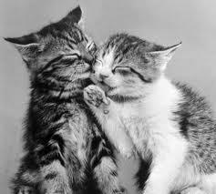 THINGS THAT MAKE ME SMILE THINGS THAT MAKE ME SMILE