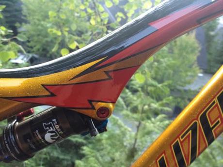 Specialized Stumpjumper Troy Lee Designs