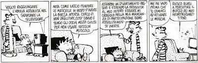 Calvin And Hobbes - La vita che stress