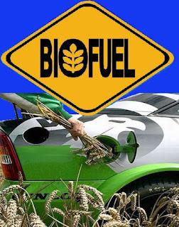 Biofuel, la soluzione che dimezza i costi del carburante!
