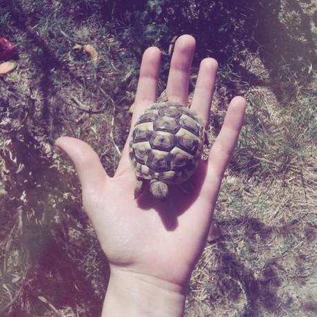 Un'estate passata a fotografarsi i piedi e altre storie