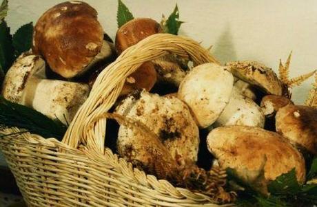 INDICE ricette: FUNGHI e TARTUFO