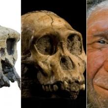 Homo di Denisova La sequenza completa del genoma dei Denisovani svela la famiglia umana