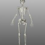 scheletro 150x150 Come essere salvatori del mondo in un film epocale