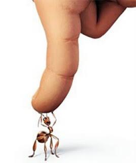 FACCIAMO UN GIOCHINO SULLE VITE PARALLELE ? http://2.bp.blogspot.com/-gcwlLdLfrE4/TftxaFgs3qI/AAAAAAAADvQ/atd5eXoDMfU/s1600/a76f142c232caa6a949b8e8f75df03e6.jpeg