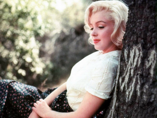 Ritratto di Signora#12: Cercando Marilyn
