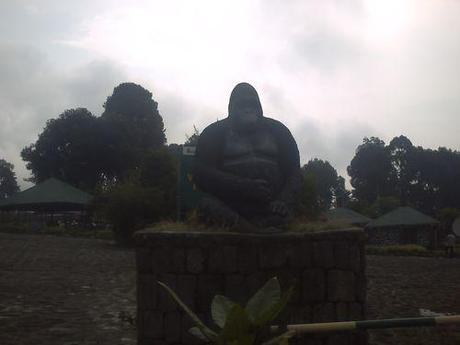 Gorilla entrée parc 3 (2) Gorilla entrée parc 3 (2)