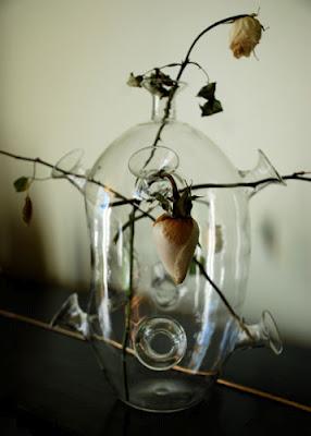 Design _ HYBRID collection of Merve Kahraman Design _ HYBRID collection of Merve Kahraman