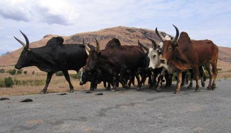 Aab1516cf9763529a9bc27b5586d2f0f Aab1516cf9763529a9bc27b5586d2f0f