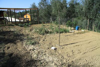 orto, preparativi per l'autunno orto, preparativi per l'autunno
