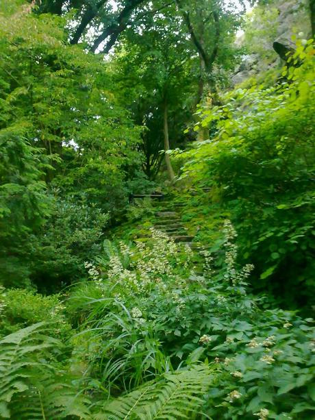 L'orto botanico di Göteborg