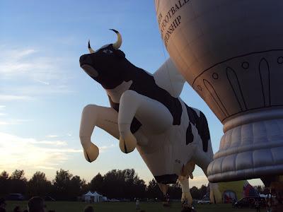 Una mongolfiera a forma di mucca!