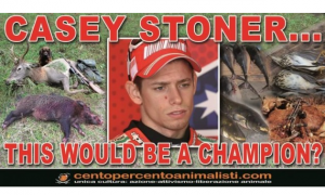 Animalisti contro Casey Stoner: “Questo sarebbe un campione?”