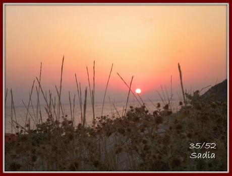 35, 36 e 37/52 week project 35, 36 e 37/52 week project