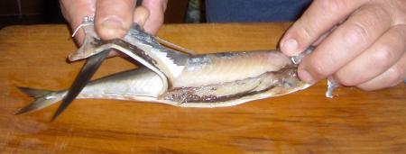 Risotto allo sgombro http://ierioggiincucina.myblog.it/album/foto-delle-ricette/861197975.JPG