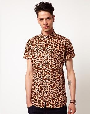 Leopard yes, leopard no
