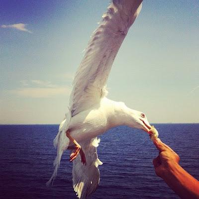 Accozzaglia di viaggio. Grecia, più o meno.