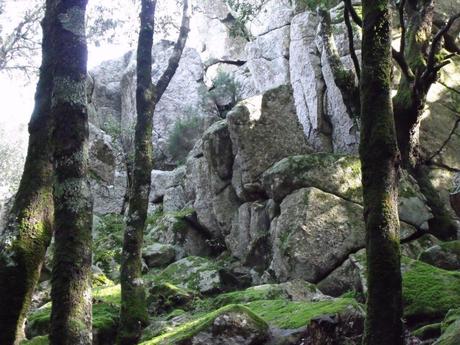 La  “rete megalitica” e i giganti dei miti e delle fiabe – LOUIS CHARPENTIER e I MEGALITI DI NARDODIPACE (VV)