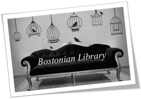 Booksblogger - Le interviste: Endimione Birches di Bostonian Library