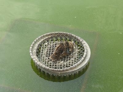 Paris day #8 Paris day #8