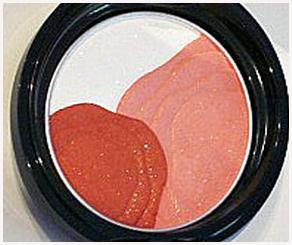 Camelia Compact Blush Shiseido