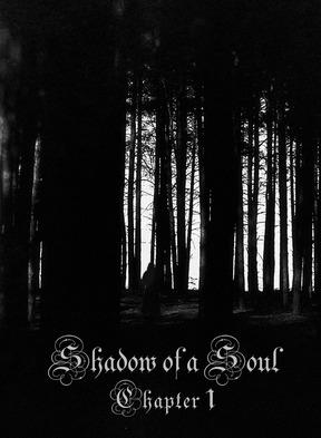 Shadow of a Soul: Chapter 1 rimandato a Maggio 2013 Shadow of a Soul: Chapter 1 rimandato a Maggio 2013