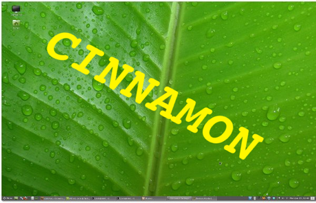 Rilasciata la versione 1.6.1 di Cinnamon