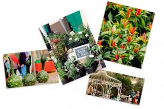 Fiori Frutta Qualità_ Celle Ligure 29 e 30 settembre 2012 Fiori Frutta Qualità_ Celle Ligure 29 e 30 settembre 2012