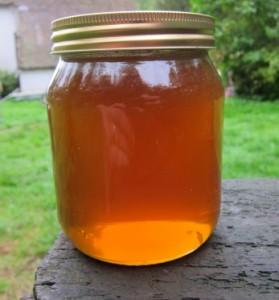 IMG_2712 AFFRONTARE LA CATTIVA STAGIONE COL MIELE DI CASTAGNO