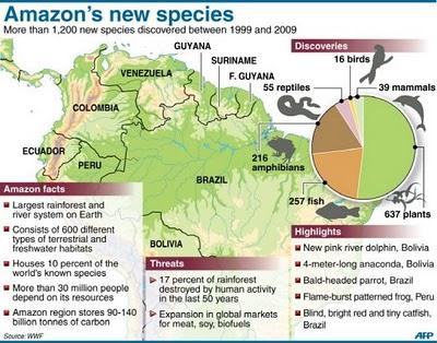 1220 nuove specie in 10 anni in Amazzonia