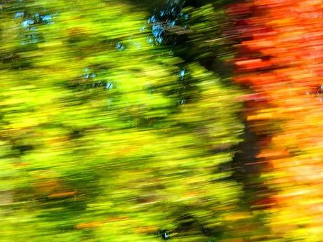 Autumn in haste by HidingInABunker, on Flickr